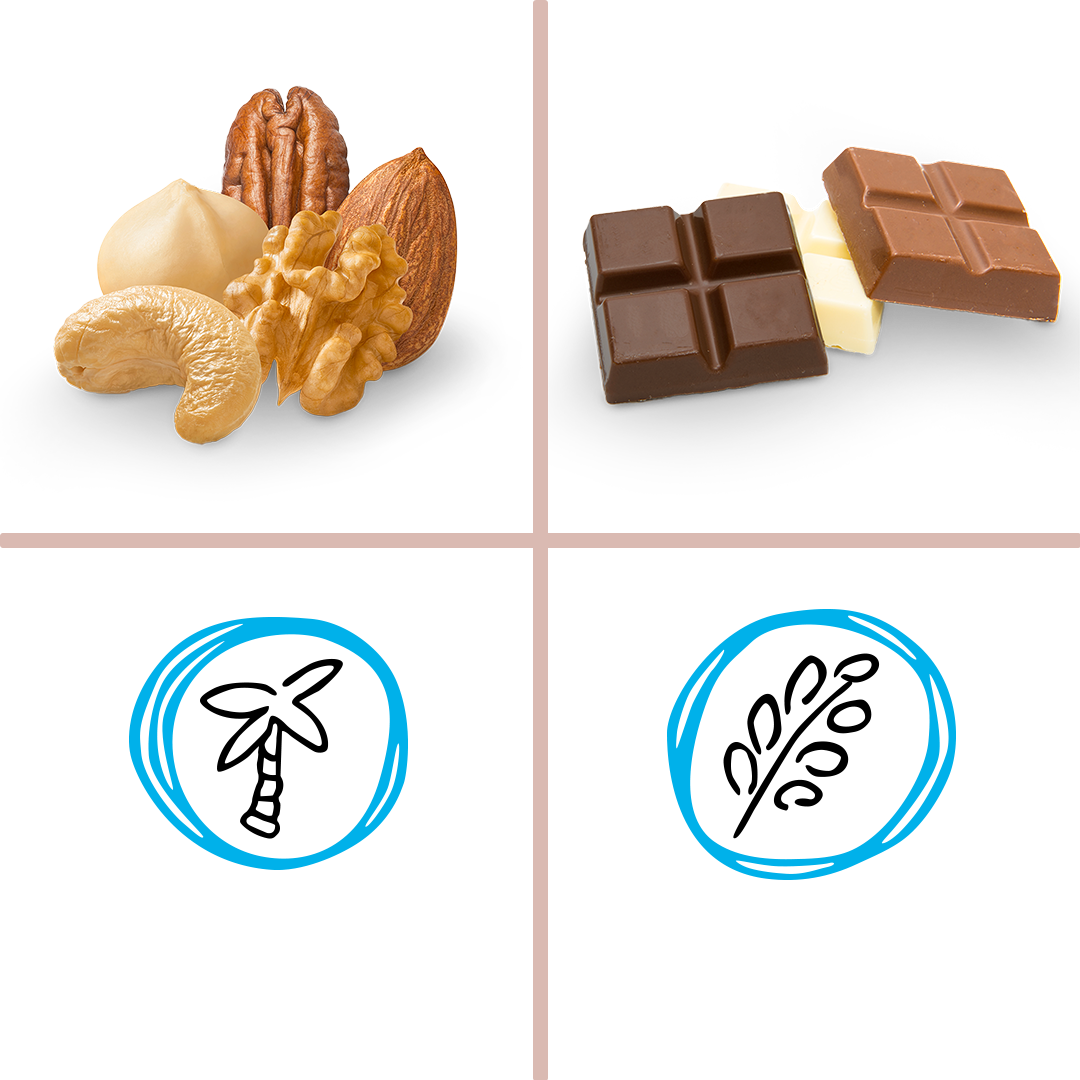 protein_hazelnut_choco